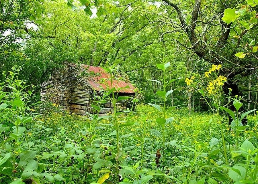 the-most-beautiful-abandoned-cabins-waiting-for-owners-to-come-20