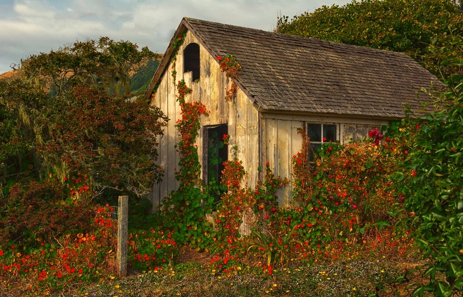 the-most-beautiful-abandoned-cabins-waiting-for-owners-to-come-28
