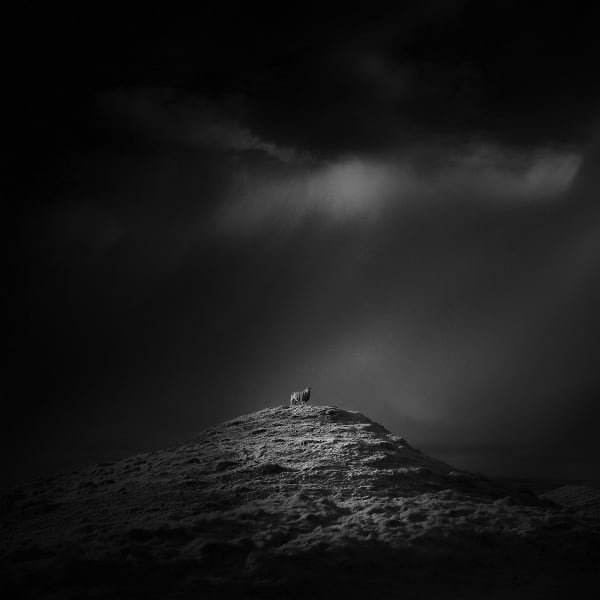 thumbs_andy_lee_11