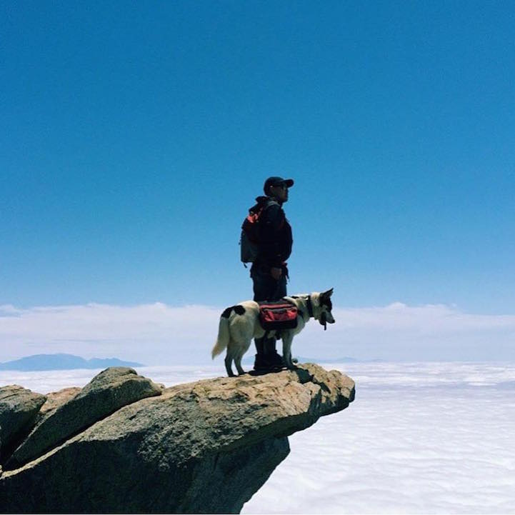 Heartwarming photos feature an adventurous bond between pups and humans campingwithdogs12