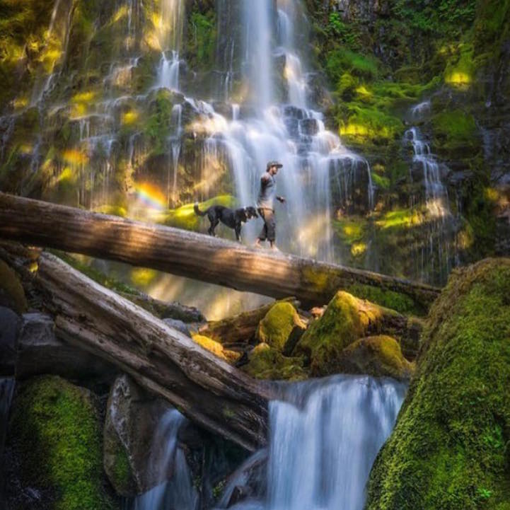 Heartwarming photos feature an adventurous bond between pups and humans campingwithdogs2
