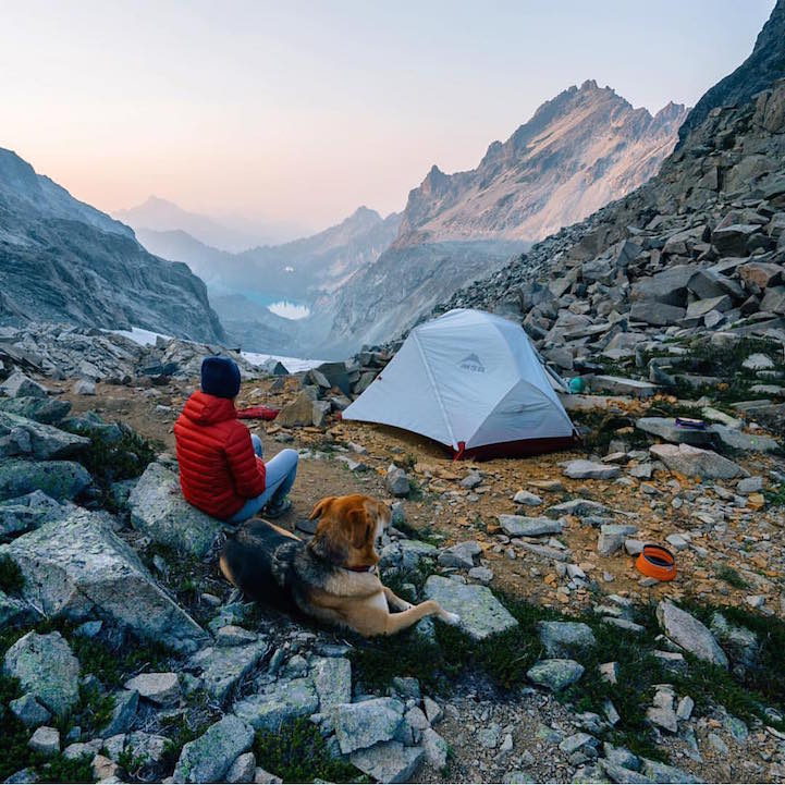 campingwithdogs9