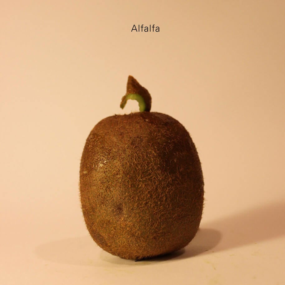 Artist Shows The Secret Identities Of Kiwi Fruits celebrities-politicians-carved-kiwi-fruit-anthony-chidiac-3