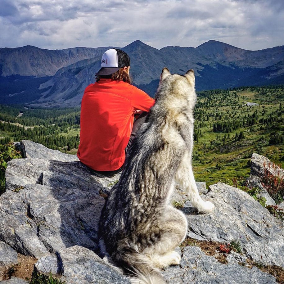 dog-nature-photography-loki-wolfdog-kelly-lund-20