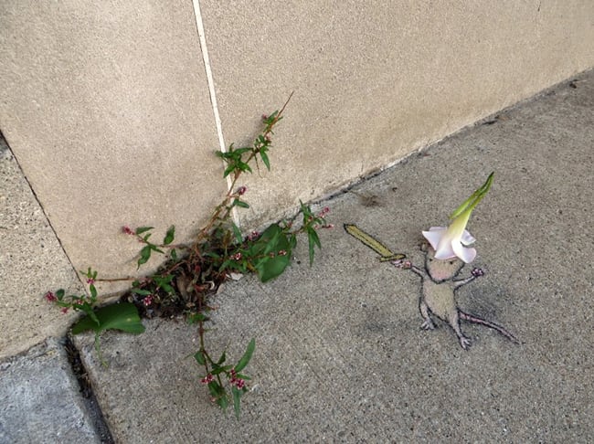mice street art