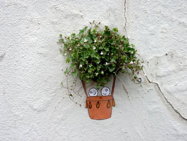 nature street art small