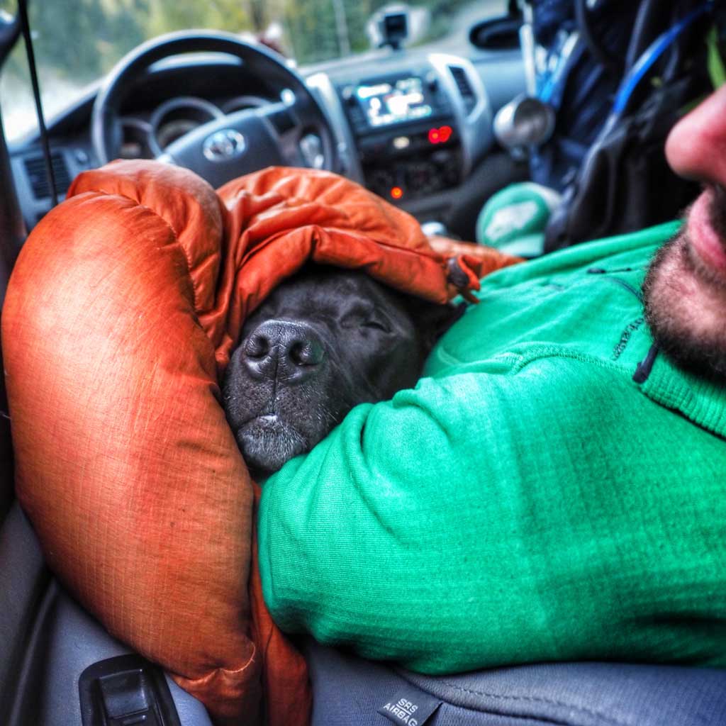 My Dog and I Left Home, Drove Over 8,000 Miles, and Walked Into The Wild one night we slept in the front seat because we let our hitchhiker friends sleep in the camper.