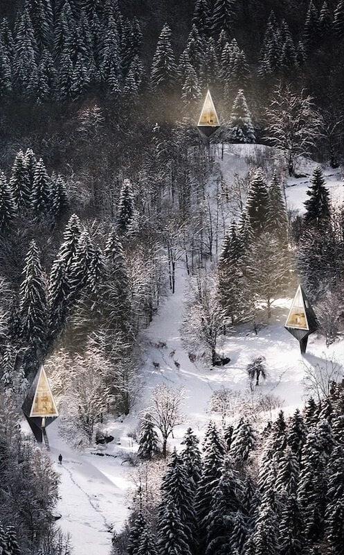 Primeval Symbiosis: A Tree-Inspired Single Pole Home primeval-forest-freeyork-7