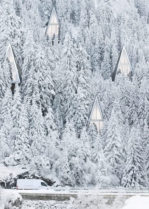 Primeval Symbiosis: A Tree-Inspired Single Pole Home primeval-forest-freeyork-8