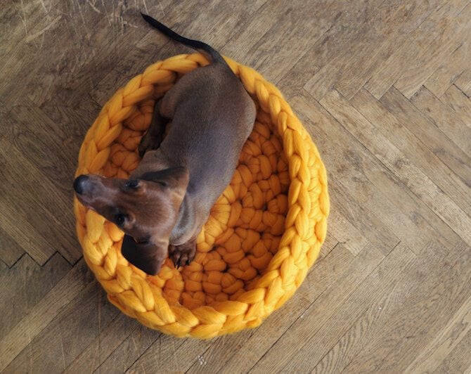 Super Chunky Knitted Beds For Pets by Anna Mo chunky-knits-pets-ohhio-anna-mo-freeyork-5
