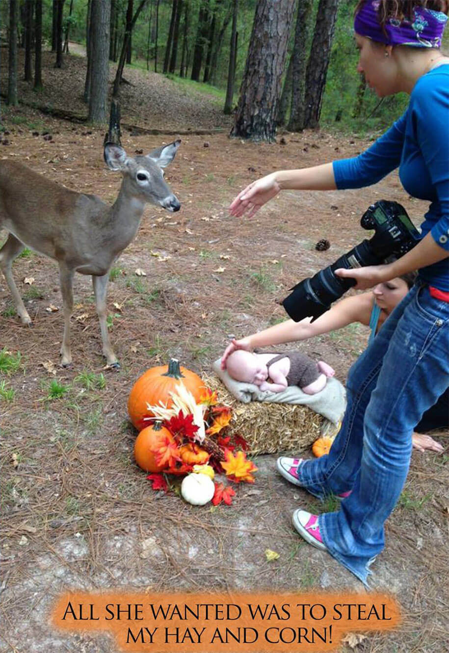 deer-newborn-photoshoot-freeyork2