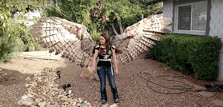 pneumatic-wings-freeyork1