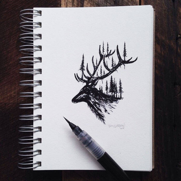 sam-larson-freeyork-1