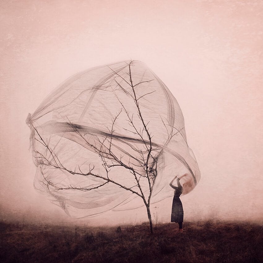 kylli-sparre-2015-freeyork-5