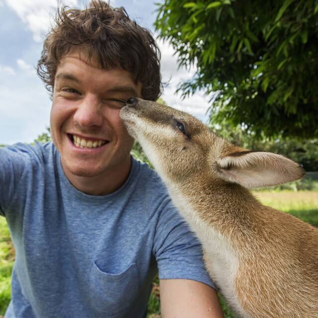 allan-dixon-animal-selfies-freeyork-4