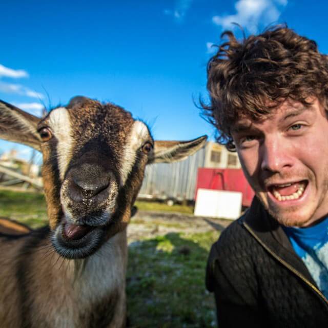 allan-dixon-animal-selfies-freeyork-5