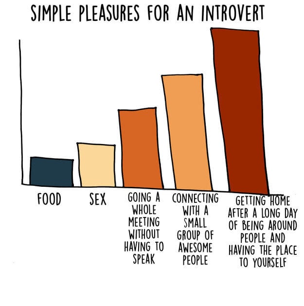 introvert-graphs-freeyork-9
