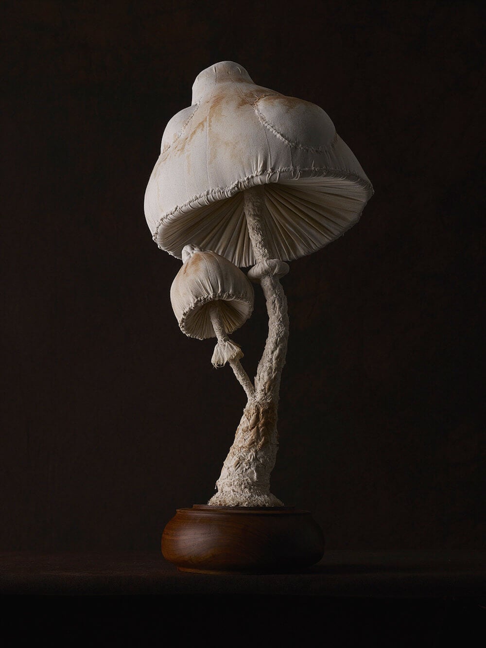 toadstool-sculptures-mister-finch-freeyork-5
