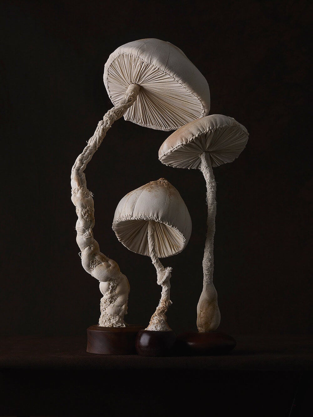 toadstool-sculptures-mister-finch-freeyork-7