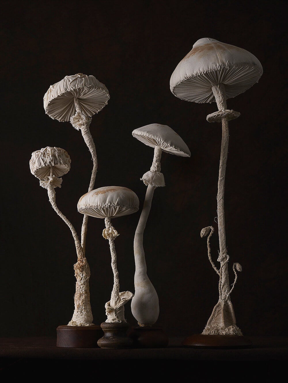 toadstool-sculptures-mister-finch-freeyork-8