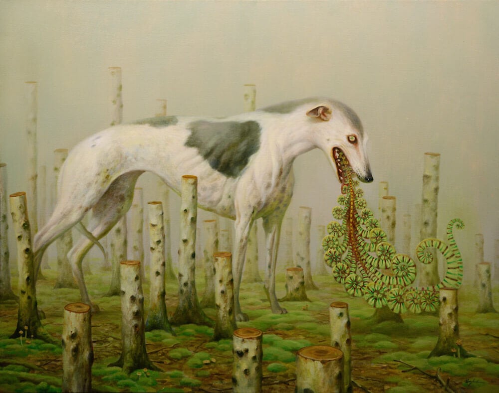 martin-wittfooth-fy6