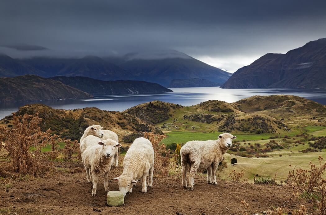 20 Unbelievable Landscapes You Can Only Find In New Zealand new-zealand-fy-5