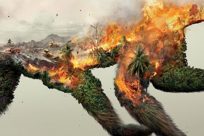 Destroying Nature is Destroying Life by Photoby&co destroying-life-by-photoby-fy-5