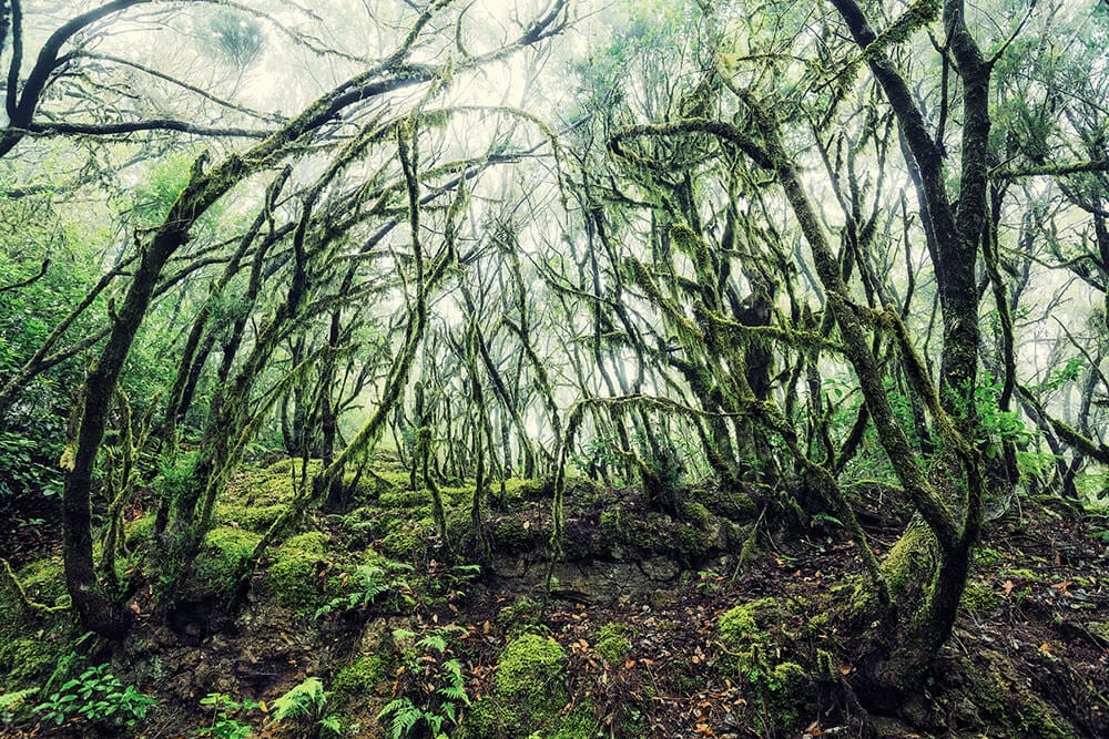canary-islands-lukas-furlan-fy-5