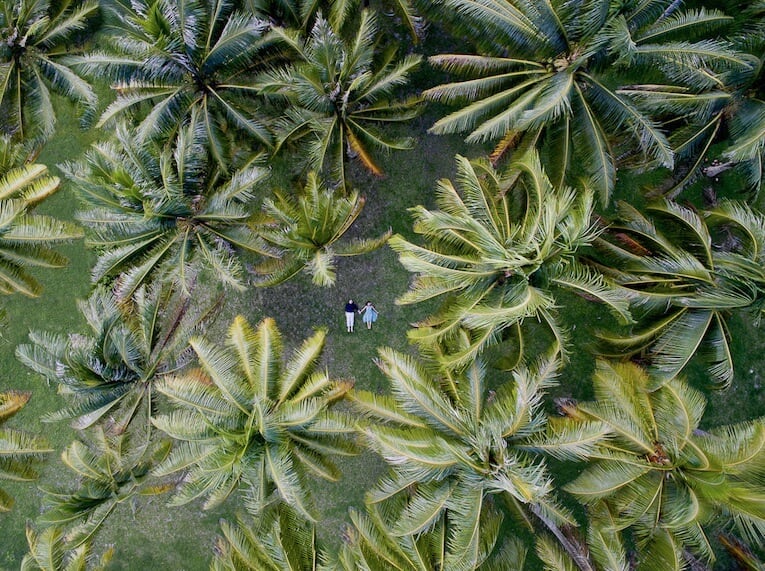 Drone Wedding Photos Capture Couples Like You've Never Seen Before helene-havard-drone-photography-freeyork-8
