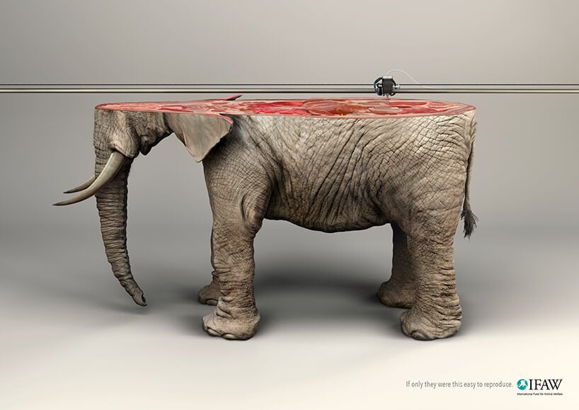 '3D Printed' Animals Depict The Unique Nature Of Endangered Species ifaw-freeyork-5