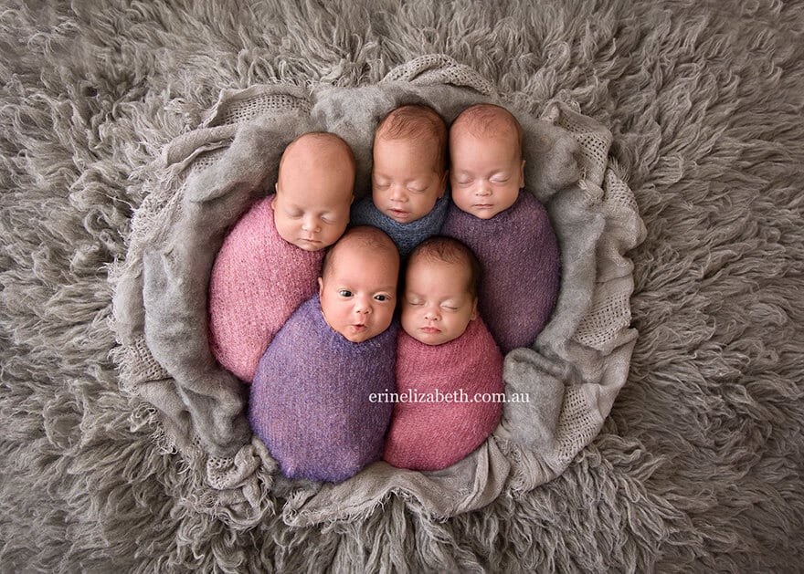 newborn-babies-photoshoot-quintuplets-kim-tucci-erin-elizabeth-hoskins-880-11