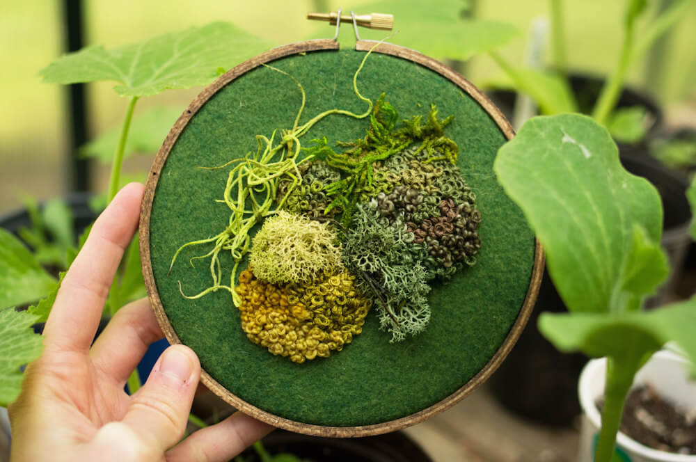 intricate-moss-assemblages-3