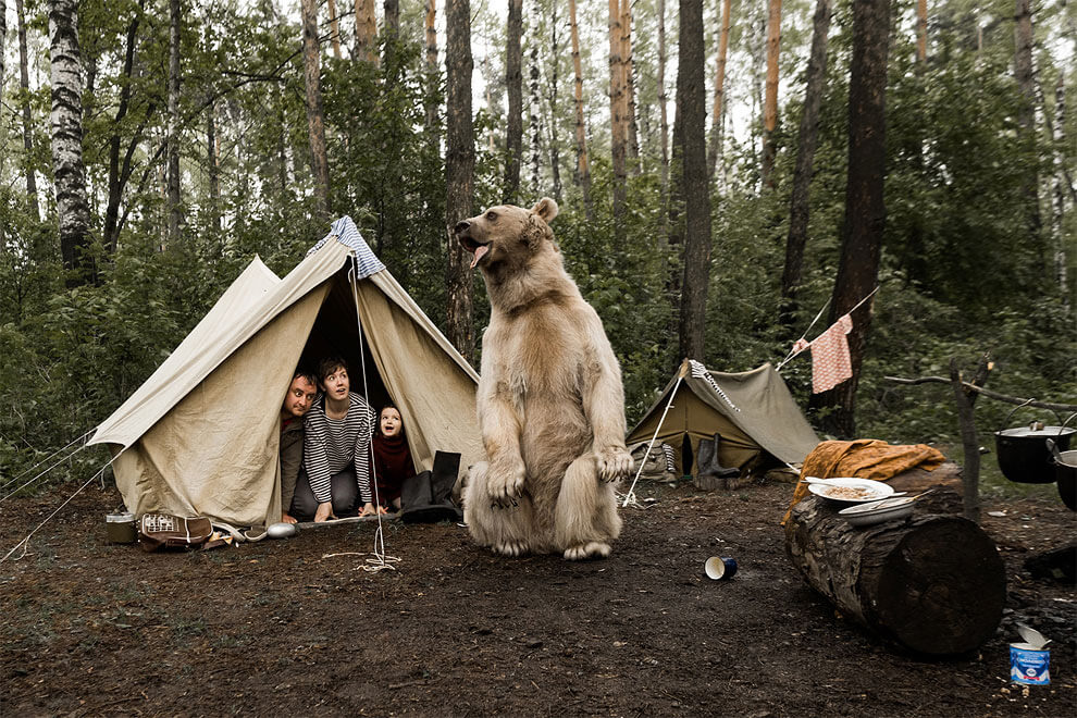 olga-barantseva-bear-family-3