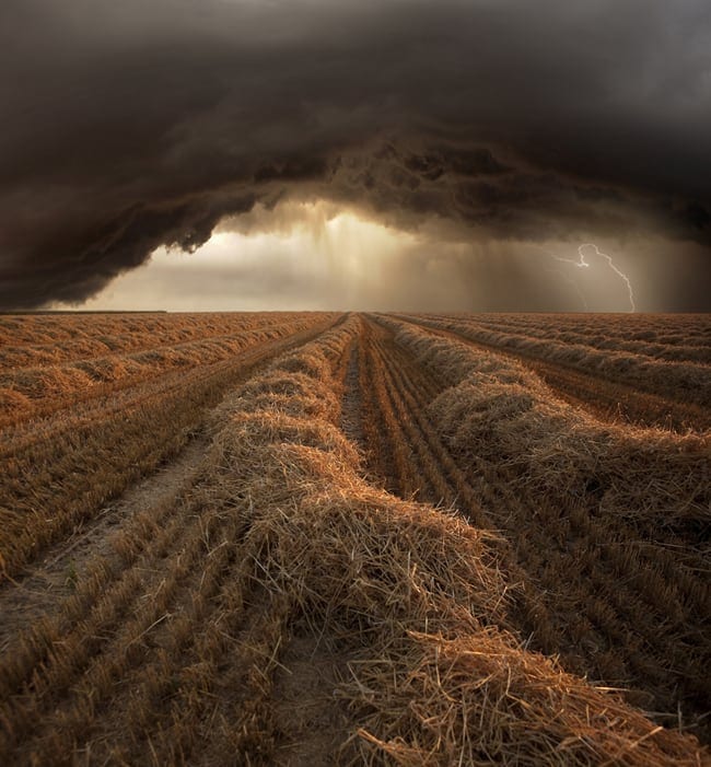 Harvest