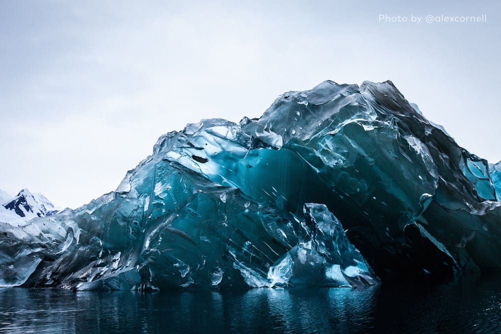 alex cornell iceberg flipped