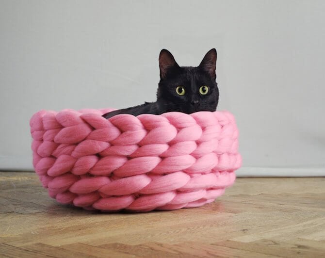 a cat sitting on top of a wooden table