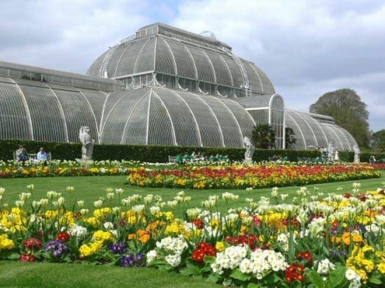 a close up of a flower garden with royal botanic gardens, kew in the background