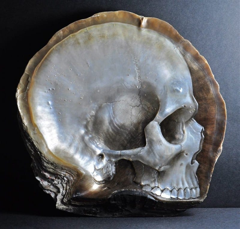 skull 1