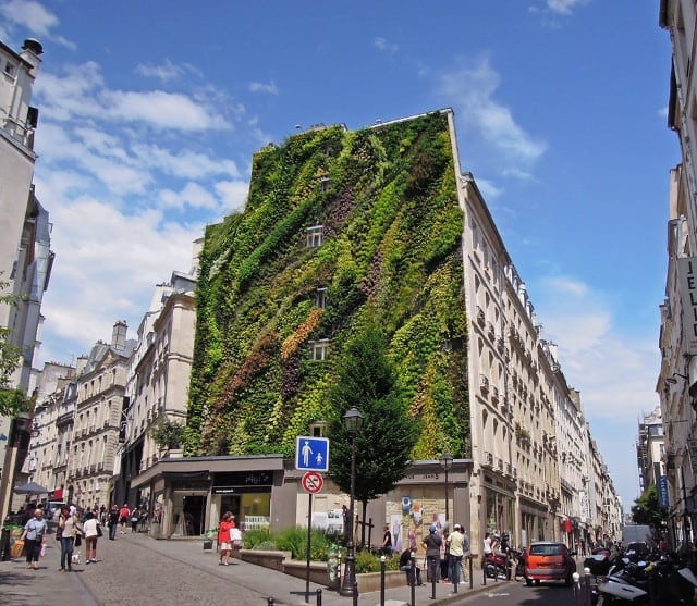 Vertical Garden in Paris