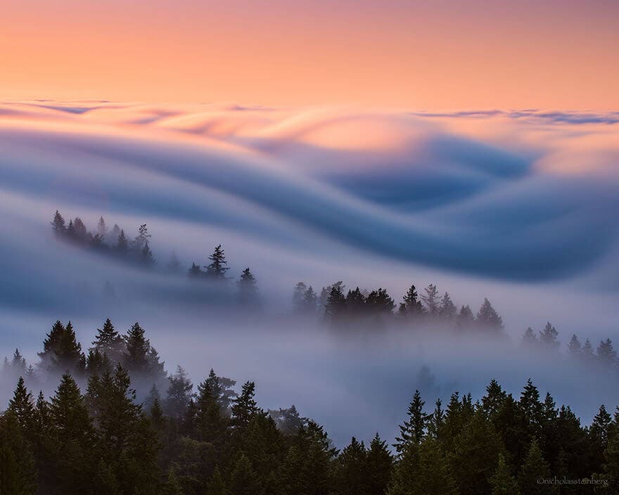 nicholas-steinberg-fog-waves-3