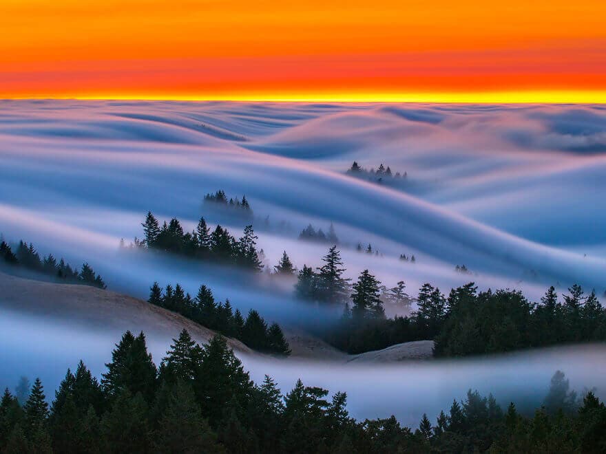 nicholas-steinberg-fog-waves-8