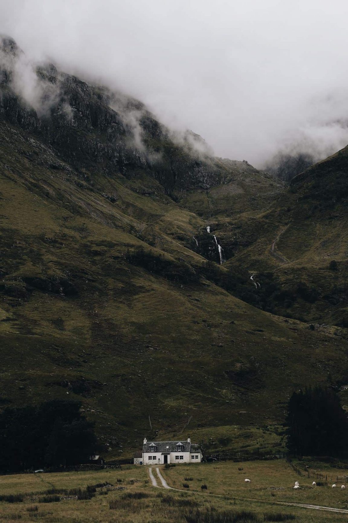 Landscape