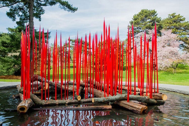 chihuly glass sculptures botanical garden 4