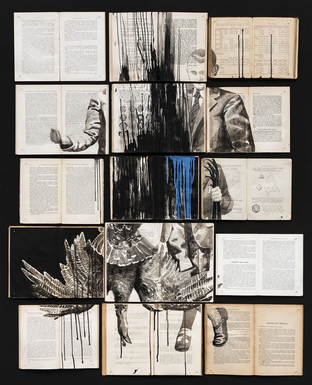 This Artist Creates Ink Paintings on Arrays of Vintage Books