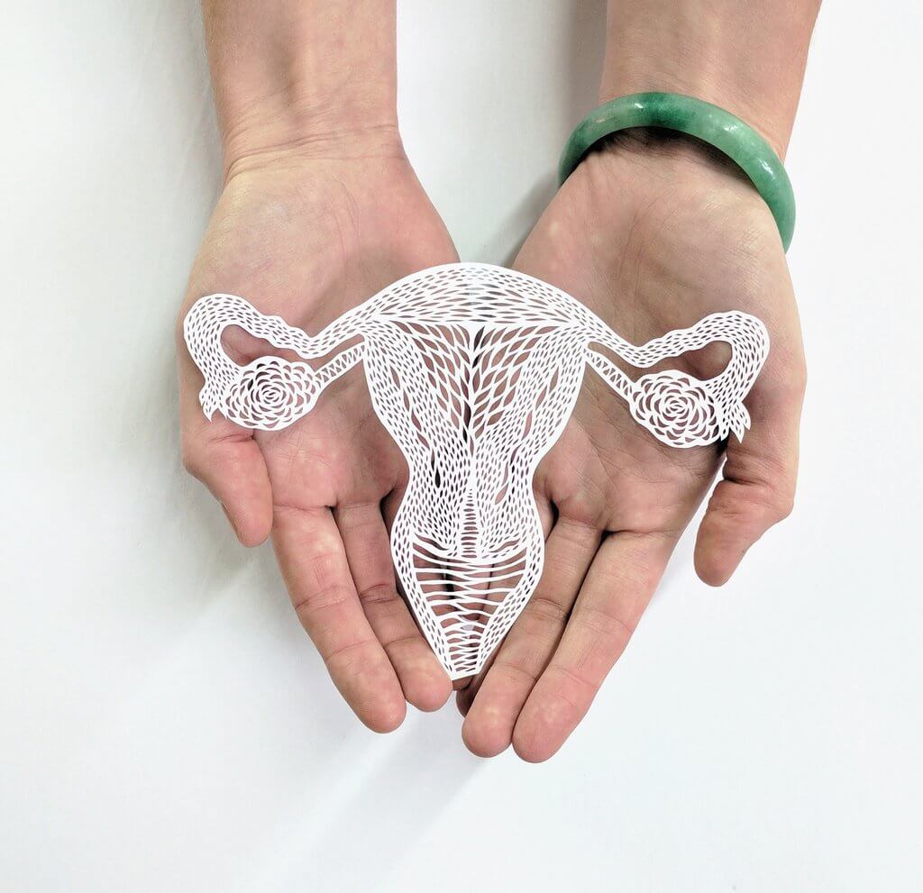hand cut paper anatomy by ali harrison fy 2