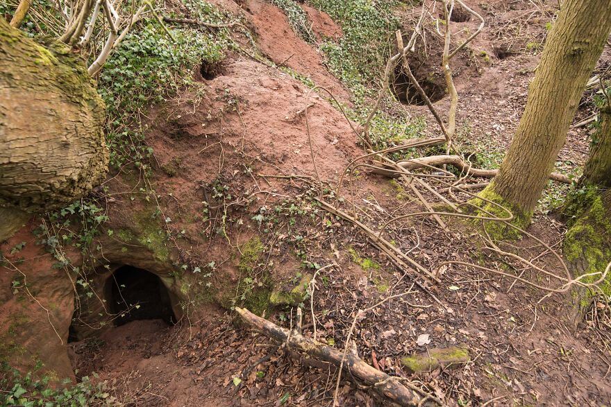 rabbit hole secret knights templar caynton caves network 1
