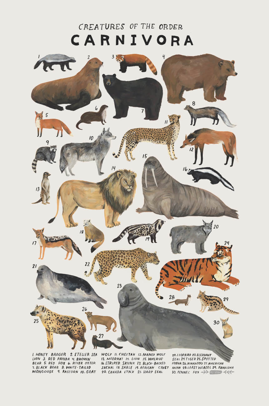 animal kingdom watercolors fy 4