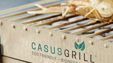 casusgrill sustainable disposable grill fy 9