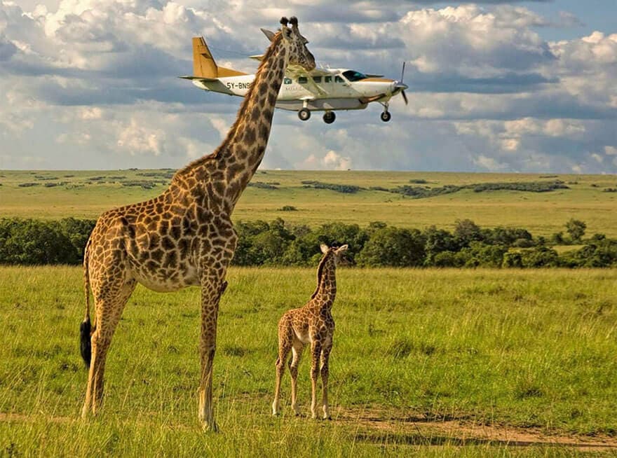 Hilarious Entries To The 2017 Comedy Wildlife Photography Awards