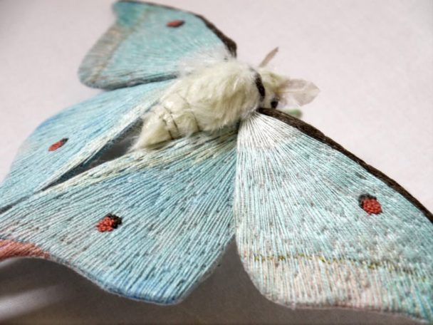 Yumi Okita's Big Hand Crafted Textile Moths And Cicadas | FREEYORK